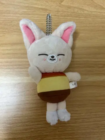 skzoo 폭시니 푸딩 백참 스키즈 아이엔