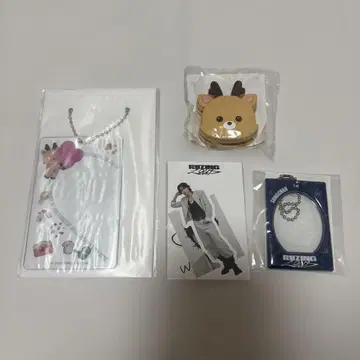 riize 랜덤 토이 성찬