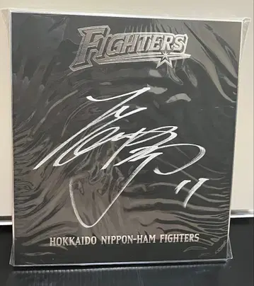 오타니 쇼헤이 선수 친필 사인 색지 니혼햄 시대