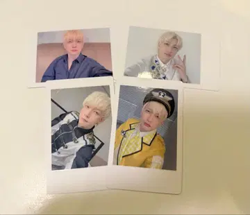 4 팬더 드래곤 파라곤 하피카 요우타