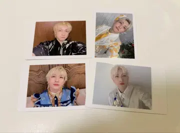 5팬더 드래곤 파라곤 하피카 요우타