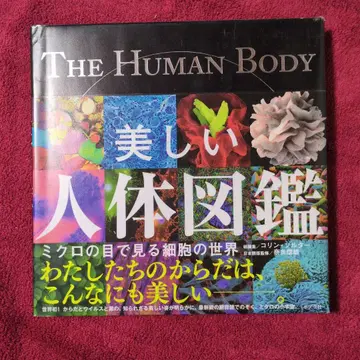 아름다운 인체 도감 미세한 눈으로 보는 세포의 세계