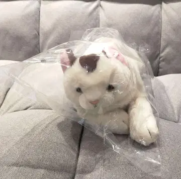 레어 체인소 맨 무릎 고양이 냐아코 봉제 인형 고양이 냐아코 고양이