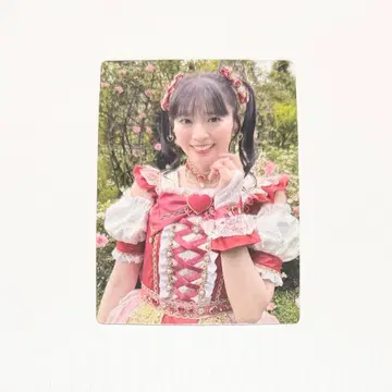 초 도키메키 선전부 사카이 히토카 트레이딩 카드