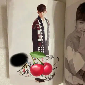 SEVENTEEN 에스쿱스 친필 사인