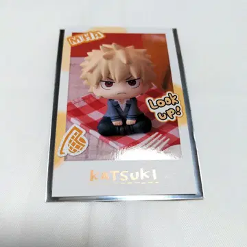 히로아카 룩업 스냅 카드 바쿠고 카츠키