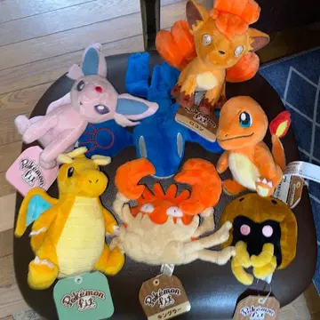 에브이 fit 킹드라 망나뇽 식스테일 투구 카멜레오 카이오거