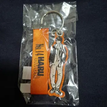 초특급 하루 키링