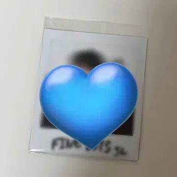 모토지마 스미마사 친필 사인 폴라로이드