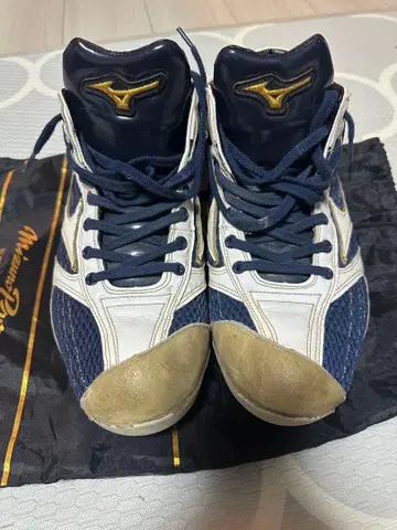 미즈노 프로 오더 스파이크