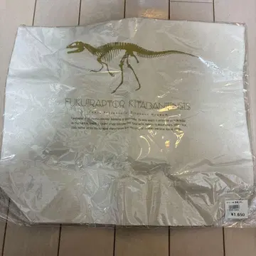 후쿠이 공룡 박물관 한정판 토트백