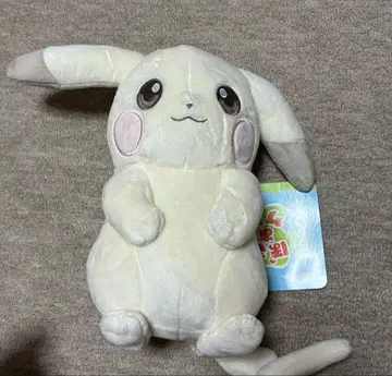 포코아포켓몬 봉제 인형 피카츄 옅은색 포켓몬 센터 한정판 새상품