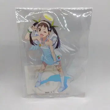 하치쿠지 마요이