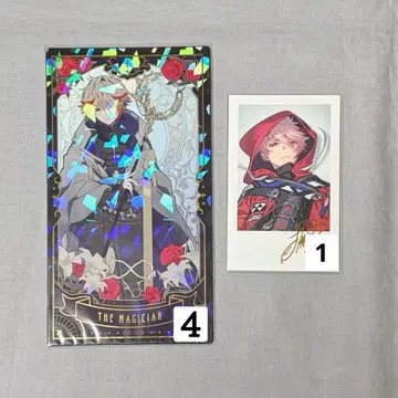 니지산지 / 세라프 다즐 가든