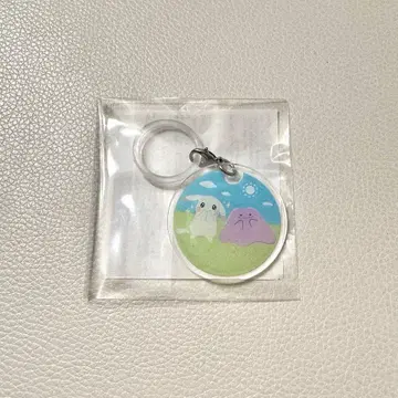 포코아 포켓몬 이온 혜택 아크릴 마커 참