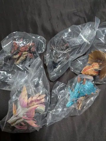 몬스터 헌터 와일즈 제일복권 C상 몬스터 헤드 마그넷 전 5종