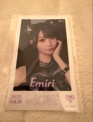 =LOVE Vol.10 오타니 에미리 미니 사진 레어