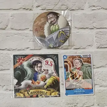 크로커다일 3종 세트