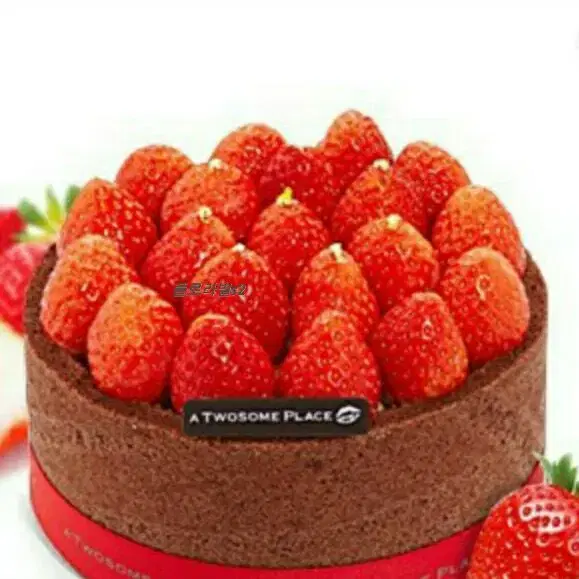 *Two Thirds Place/ Strawberry Chocolate Fresh Cream Cake 35,OOO