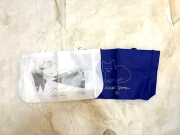 요네즈 켄시 투어 백 2매 세트