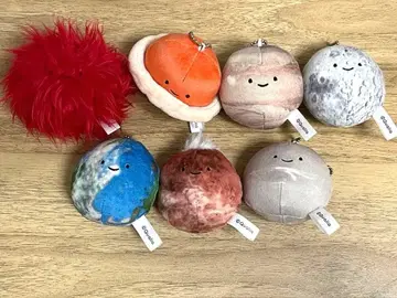 우주의 봉제 인형 쿠오리아 봉제 인형 닛코리노