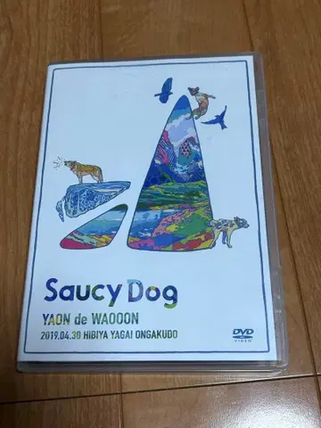 Saucy Dog YAON de WAOOON DVD 사인 엽서 포함