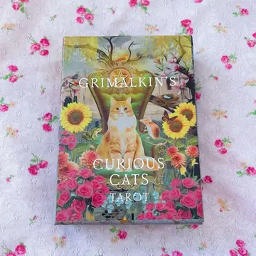 그리말킨의 호기심 많은 고양이 타로