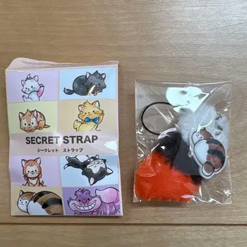 디즈니 시크릿 스트랩 고양이의 날 모치
