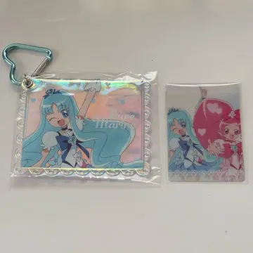 하트캐치 프리큐어 빅 카메라 카드 카드 케이스 큐어 마린