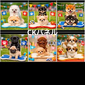 핸드메이드 오더 접수 (포메라니안, 치와와, 토이 푸들, 시츄)