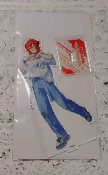 호로스타즈 빅 아크릴 스탠드 하나사키 미야비