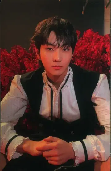 ENHYPEN NEW JUNGWON DARK BLOOD