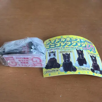 아이돌 호스 미니 컬렉션 VOL 42 에네르지코 아오바상