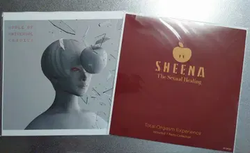 시이나 링고 빅 재킷 2점