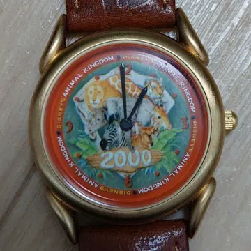 디즈니 애니멀 킹덤 시계