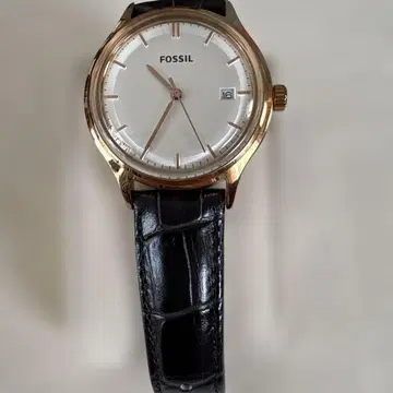FOSSIL 손목시계 쿼츠 실버/골드 배터리 방전