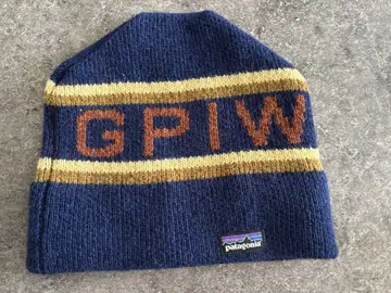 Patagonia GPIW 로고 니트 모자