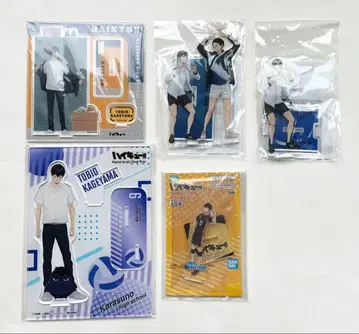 카게야마 토비오 아크릴 스탠드 5개 세트