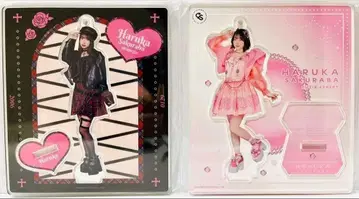 2종 세트 아크릴 스탠드 사쿠라바 하루카 생일 축하 2025 큐스토