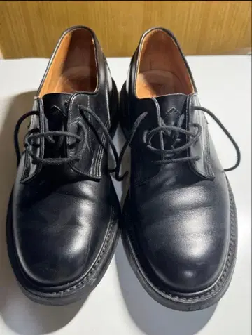 트리커스 우드스탁