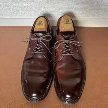 Alden 알든 990 플레인토 코도반 8D