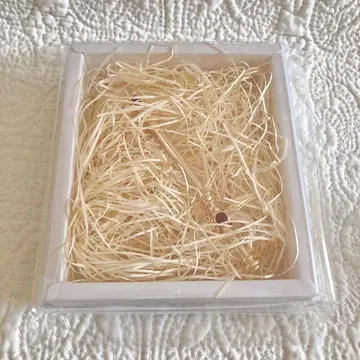 카드캡터 사쿠라 25주년 기념전 소드 브로치