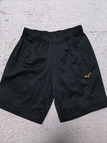미즈노 프로 하프 팬츠 메쉬