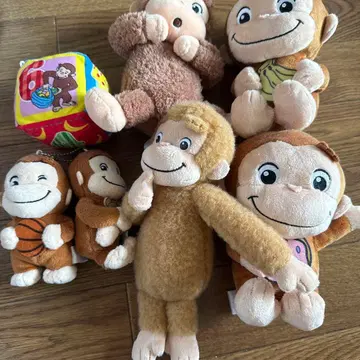 오자루의 조지 세트