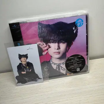 초특급 NINE LIVES 하루반 하루 트레이딩 카드 포함