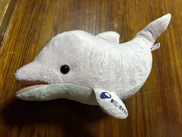 신에노시마 수족관 돌고래 복권 봉제 인형