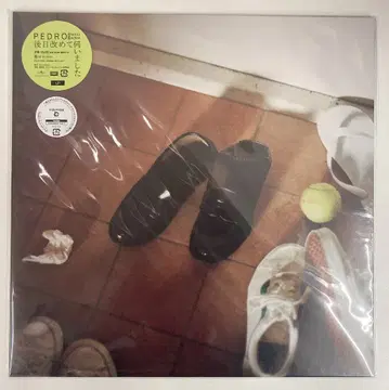 아날로그 LP 레코드 PEDRO 이후 추후 다시 방문했습니다