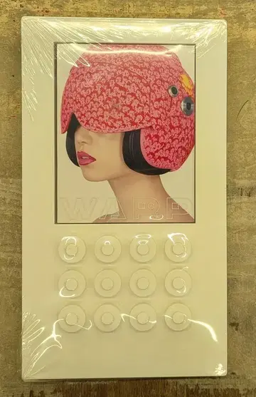 투어 팸플릿 JUDY AND MARY WARP