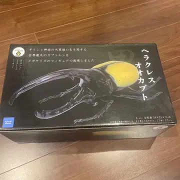 헤라클레스 장수풍뎅이와 장수풍뎅이