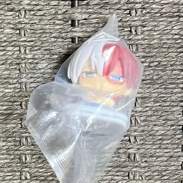 토도로키 쇼토 오네무탄 니도네